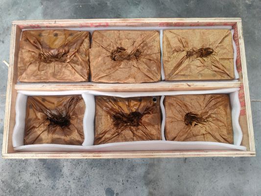 プラスチックのリサイクルマシン用エクストルーダー・スクリュー・バレル